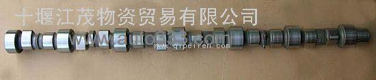 Dongfeng Cummins  Engine Part/Auto Part/Spare Part/Car Accessories Camshaft 3923478