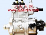 Dongfeng Renault high pressure oil pump D5010222523 Dongfeng Renault