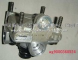 Chinese's original family accessories 360524 relay valve