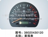 Auto odometer     38020430120