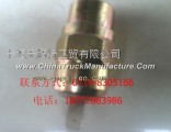 Hongyan new diamond pressure signal switch 179100710004