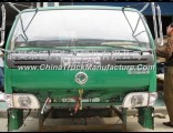 Dongfeng light truck cab , auto cab   50G0A7-DH39