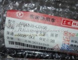 Dongfeng Tianlong mask bar 5301625-C0100