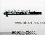 5003011-C0300 [oil cylinder] dragon left cylinder assembly
