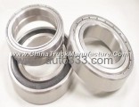 China truck parts bearing 6009-2RS
