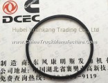 C3902089 3940386 Dongfeng Cummins Engine Part/Auto Part/Spare Part /Car Accessiories Water Pump Seal