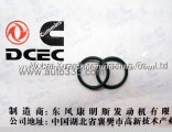 A3913994 Dongfeng Cummins Engine Component/Part O-ring Seal