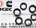 C3818885  Dongfeng Cummins Engine Part/Auto Part Switch Valve Shaft Sealing Ring