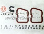 A3902666 C3930906 Dongfeng Cummins Valve Cover Gasket