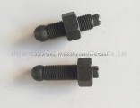 Dongfeng Valve adjusting bolt/screw 6CT C3900706