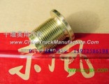 Dongfeng Tian Long D127161 put oil screw