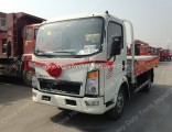 Sinotruk HOWO 4X2 10 Ton 116HP Light Duty Cargo Truck