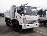 Cdw 4X2 10-12 Tons 160 HP Light Duty Dump Truck