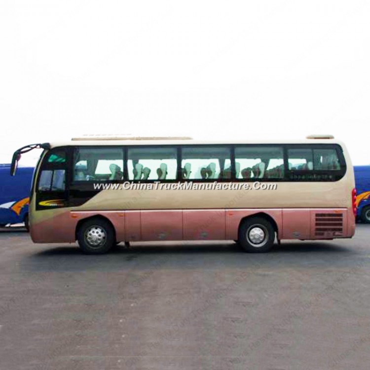 10m 47 Seaters Bus Luxury Coach Bus Daewoo Bus