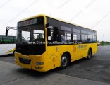 11m LHD/Rhd 45-55 Seats Tourist Bus/ Coach Bus for Sale
