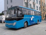 Right Hand Drive Luxury Tourist Bus Coach Tourist Bus