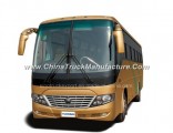 19 Seats 20 Seats Tourist Passenger Coach Travel Bus