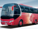 25-30 Passenger Seats Minibus