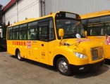 15-38 Seats School Bus for Sale