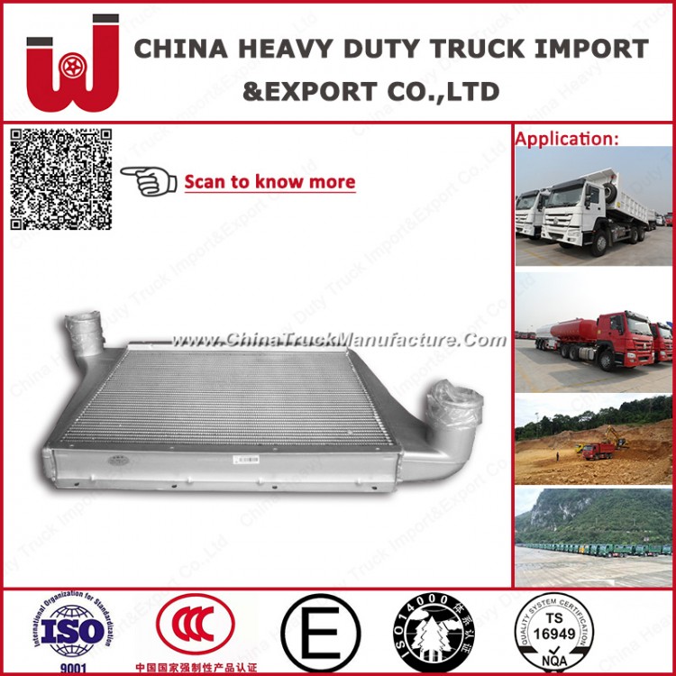 HOWO Aluminum Plate-Fin Intercooler for Heavy Truck (Wg9725530020)