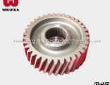 China Factory HOWO Truck Spare Parts Driven Cylindrical Gear (Az9761320016)