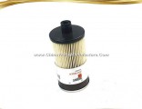 Sinotruk Spare Parts Original Fuel/Oil Filter Wg9925550105