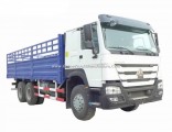 Sinotruk HOWO 336HP 6X4 10 Wheel 30ton Cargo Truck Low Price Sale