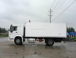 Most Popular China Brand HOWO Cargo Truck 4X2 for Sale