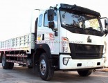 Good Quality China Brand HOWO Cargo Truck 4X2 for Sale