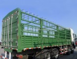 Sinotruk HOWO 336HP 371HP 6X4 Wall Cargo Truck for Sale