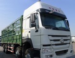 Low Price High Quality Sinotruk HOWO 6*4 Cargo Truck for Sale