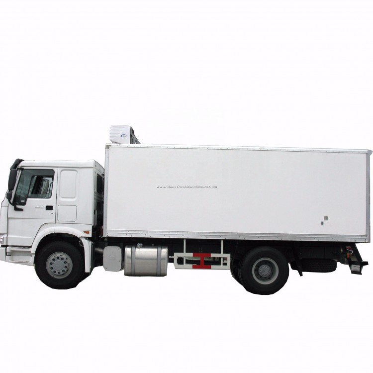 HOWO Cargo Driving Zz1167m4611W Type 4*2 Truck