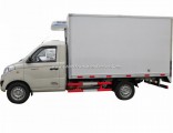 Foton 1 Ton Freezer Cargo Van Frozen Meat and Fish Delivery -18 Refrigerator Truck