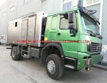 China Cnhtc Sinotruk HOWO 4X4 Van Truck