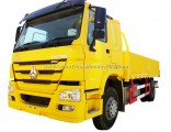Sinotruk HOWO 4X4 All Wheel Drive Cargo Truck for Desert