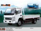 10-12tons/4*2/China Hot Sale/Light Truck/Kama Truck