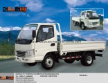 Hot Sale Rhd and LHD Light Truck Mitsubishi Technology