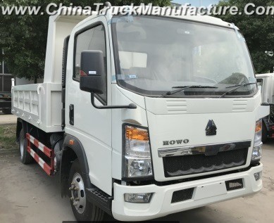 4*2 Left and Right Hand Drive HOWO Dump Truck, Light Truck