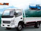 China Light Truck 3t