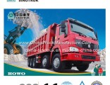 Competive Price Dumper Truck of HOWO Truck 8X4 with High Quality
