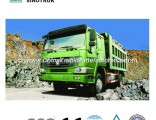 Best Price Dumper Truck of HOWO 4X2 with High Quality