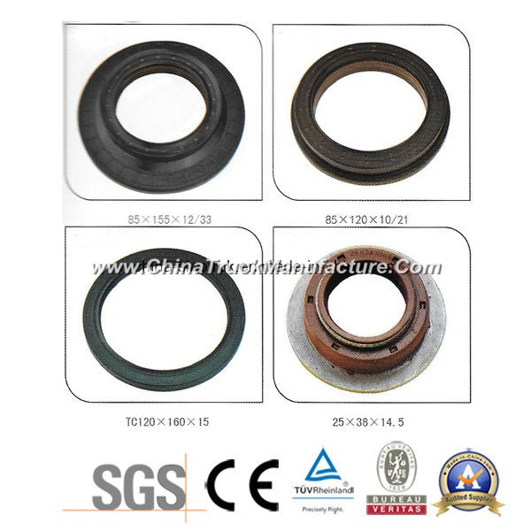 Hot Sale Oil Seal of 1363674 1409800 30067468