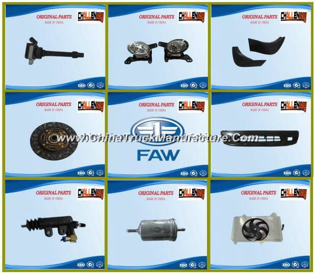 Chinese Brand Spare Parts FAW Auto Parts Series