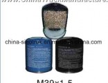 High Quality Auto Parts Air Dryer Filters 4324100202 4324101020 4324101040 for Sania Mercede-Benz Au