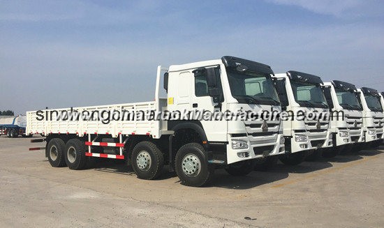 Hot Selling Sinotruk HOWO 8X4 290HP Cargo Truck