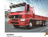 Hot Sale 300HP Sinotruk HOWO Cargo 6X4 10wheels