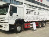 Sinotruk HOWO 6X4 336HP Cargo Truck
