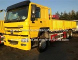 Sinotruk HOWO 6X4 Cargo Truck Van Truck