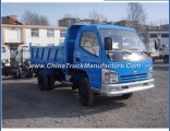 China 4t Small Duty Dump Tipper Truck for Sale