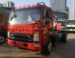 2017 New 4.2m 4X2 HOWO Light Truck for Sale!